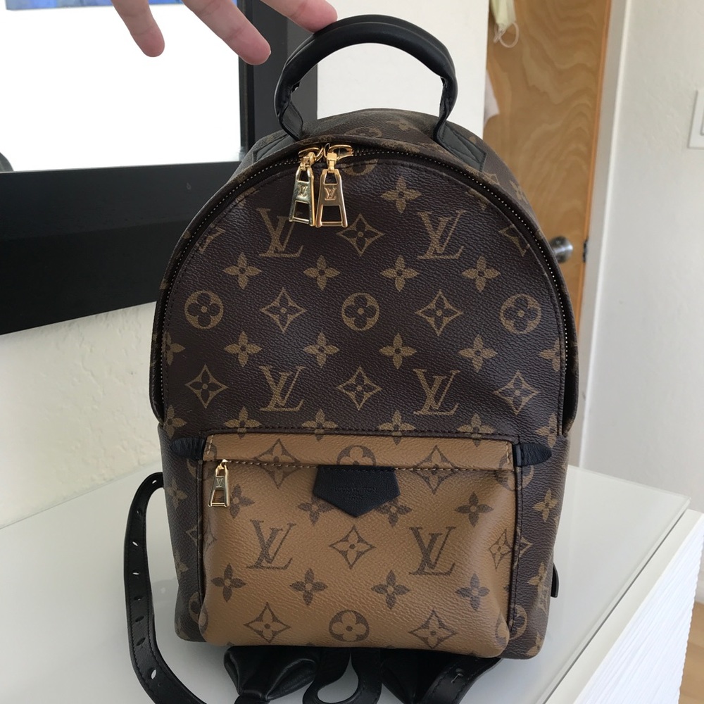 Louis Vuitton Palm Springs PM reverse monogram